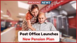 New Post Office Scheme Offers Senior Citizens ₹20,000 Monthly Pension with Lifetime Security